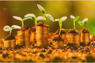 赣锋锂业推出股权激励计划拟向113名对象授予股票期权217万份